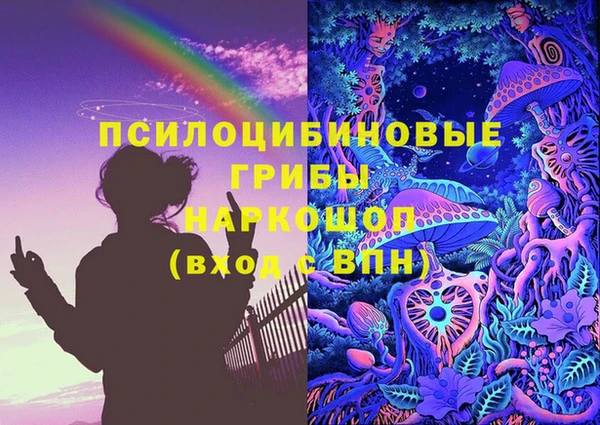 мяу мяу мука Алзамай
