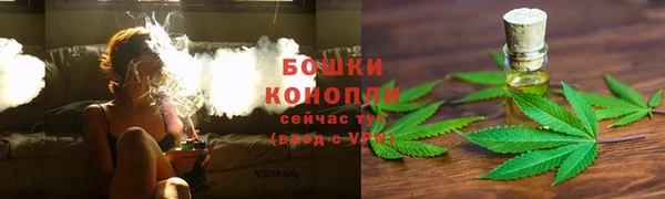 твердый Аркадак