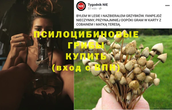 первитин Алексеевка