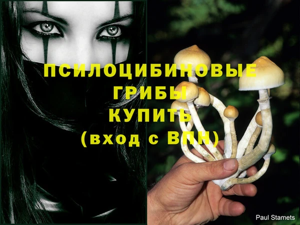 мяу мяу мука Алзамай