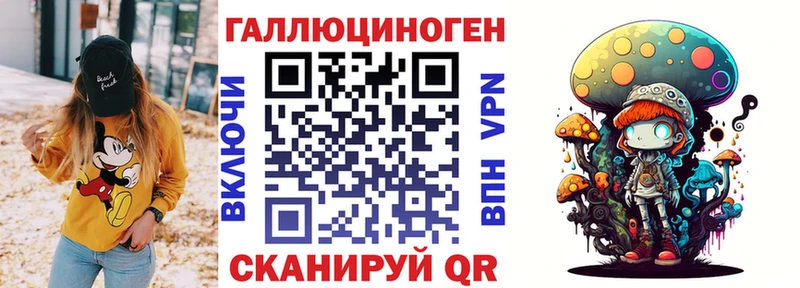 продажа наркотиков  blacksprut как войти  Галлюциногенные грибы Psilocybine cubensis  Черноголовка 