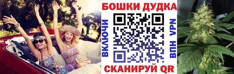 Каннабис ГИДРОПОН  Черноголовка 